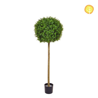 Topiary New Buxus Ball Tree 120cm UV