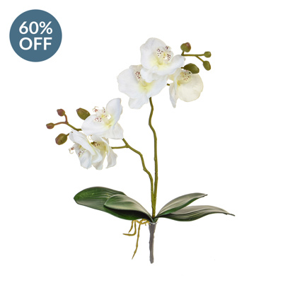 SF Orchid Phal White W Leaf W 55cm