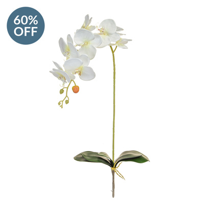 SF Orchid Phal White W Leaf W 96cm
