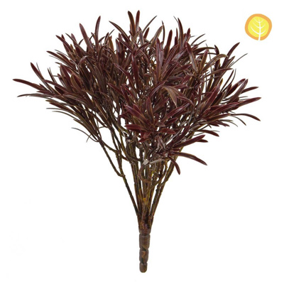 Plants Base Podocarpus Brown 30cm UV