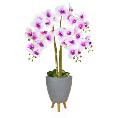 AN-Orchid Wh/Pk in Naples Pot 90cm