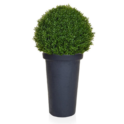 AN-Topiary Rosemary Ball in Classic Pot 80cm