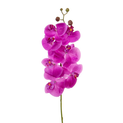 SF Orchid Phal Dk Pink Real Touch GB 70cm