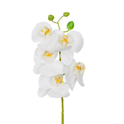 SF Orchid Phal White Real Touch GB 60cm
