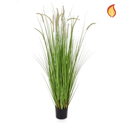 Grass Dogtail Grass D with pot 150cm FR-S2