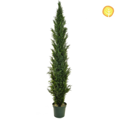 Topiary Cedar Mini Pine SF 210cm UV