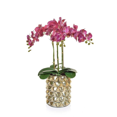 AN-Dk Pink Orchids XJ in Gld Glass Vase 50cm