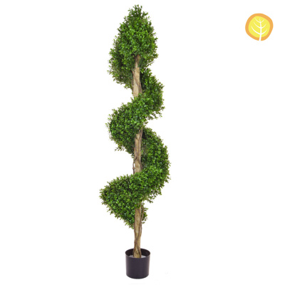 Topiary New Buxus Spiral C 150cm UV