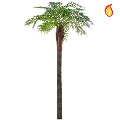 Palm Robellini 180cm FR