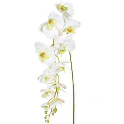 SF Orchid Phalaenopsis XJ LG Wh/Pk 130cm