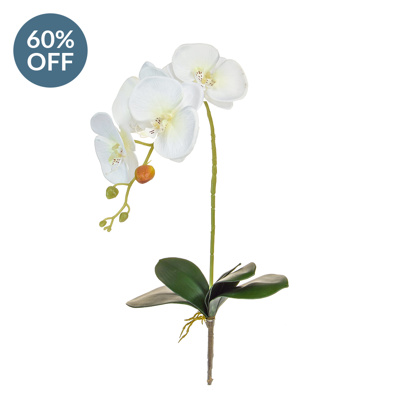 SF Orchid Phal White W Leaf W 75cm