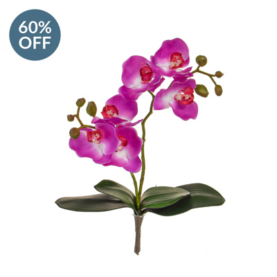 SF Orchid Phal Purple Leaf W 55cm