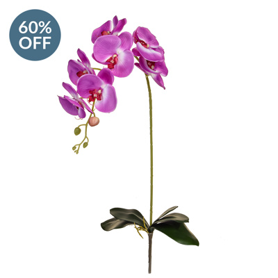 SF Orchid Phal Purple W Leaf W 96cm