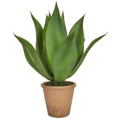 PP Yucca Agave in Clay Pot YF 50cm