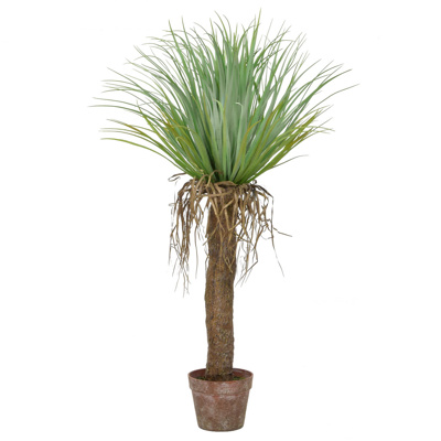 Palm Cycas in Brown Pot YF 95cm