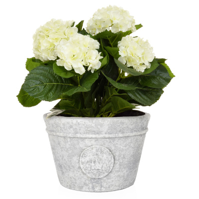 AN-White Hydrangea in Zinc Pot