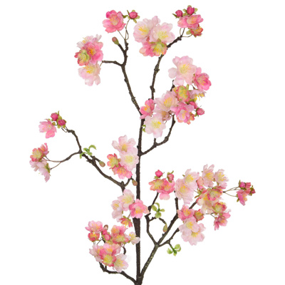 FS Cherry Blossom Pink XY 115cm