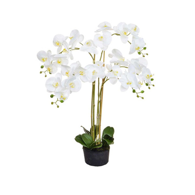 PP Orchid Phal Real Touch White Y 90cm