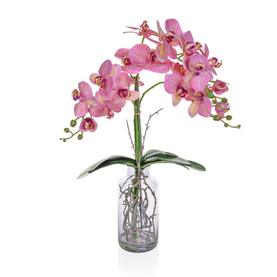 PP Phal Orchid Pk/Wh in Glass Vase JA 90cm