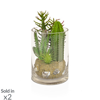 PP Cactus Mix in Glass Vase YF 20cm