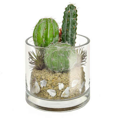 PP Cactus Gr/Red Mix in Glass Vase YF 20cm