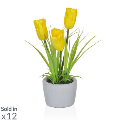 PP Tulip Yellow in Pot PI 23cm
