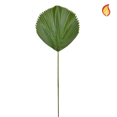 Foliage Licuala Grandis Palm 105cm FR-S1