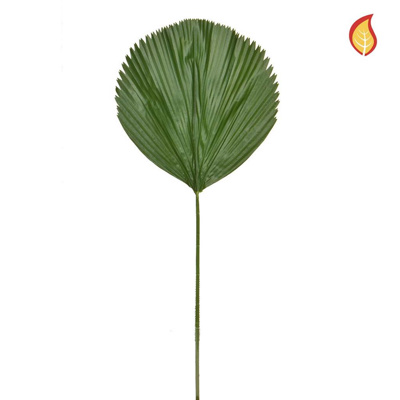Foliage Licuala Grandis Palm 170cm FR-S1