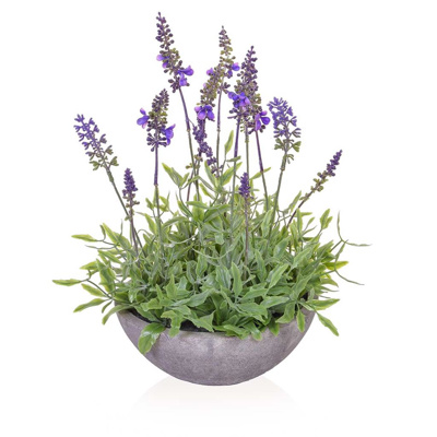 PP Lavender in Bowl 20x32cm