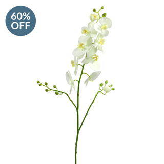 SF Orchid B Phalaenopsis K P-White 98cm