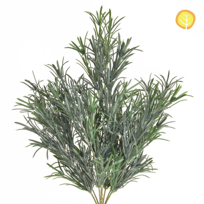 Plants Base Podocarpus Grey 40cm UVSILX