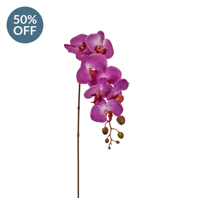 SF Orchid Phalaenopsis NG Purple 105cm