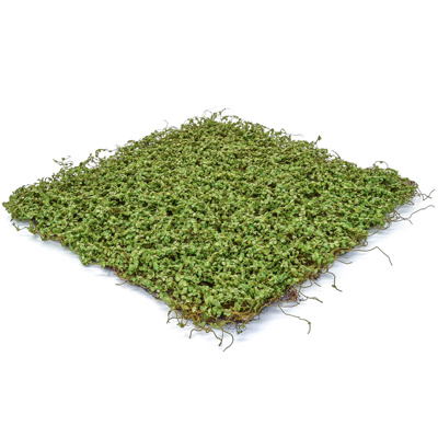 Topiary Mat Moss/twig Green 49x49cm