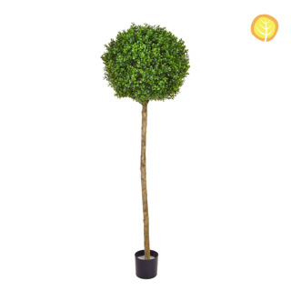Topiary New Buxus Ball Tree 150cm UV