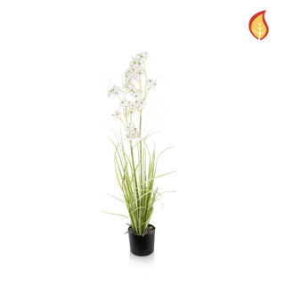 Grass Allium with Pot FR 110cm-S11
