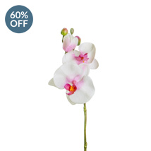SF Orchid Phalaenopsis S Mini White