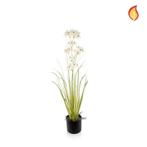 Grass Allium with Pot FR 87cm-S11