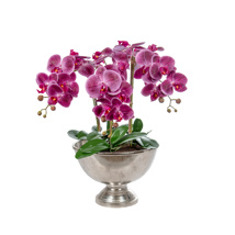 AN-Orchid Phal Purple in Bamburgh Bowl 70cm