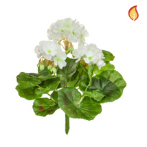 Plants Flowering Geranium White 23cm FR-S1