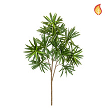 Foliage Podocarpus Green 55cm FR-S1