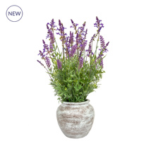 PP Lavender Grass Mix in Pot 63cm S12