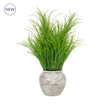 PP Grass in Pot 62cm S12
