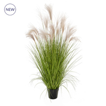 Grass Pampas YF 140cm