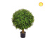 Topiary Buxus Ball 40cm UV