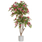 AN-Pink Boug Tree in Athens Pot 185cm
