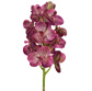 SF Orchid Vanda K Purple 53cm