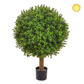 Topiary Buxus Ball 50cm UV