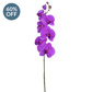 SF Orchid Phal S Std Purple 60cm