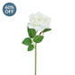SF Rose white single W 50cm