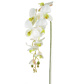 SF Orchid Phalaenopsis XJ Med Wh/Pk 98cm